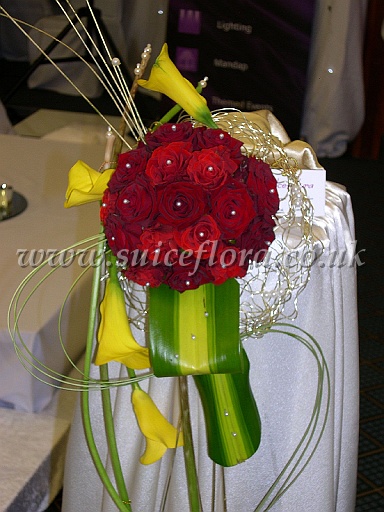 DSCN5479.JPG