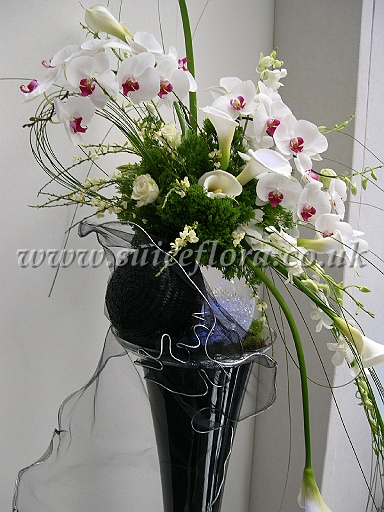 DSCN7617.JPG
