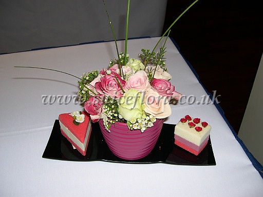 DSCN8571.JPG