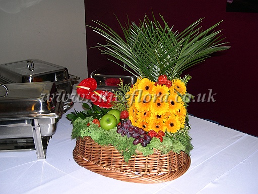 DSCN8581.JPG