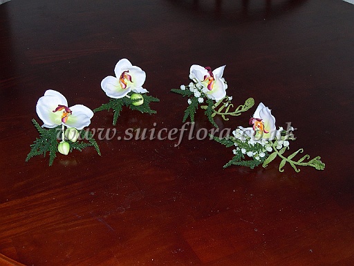 DSCN2211.jpg