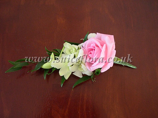 DSCN5244.JPG