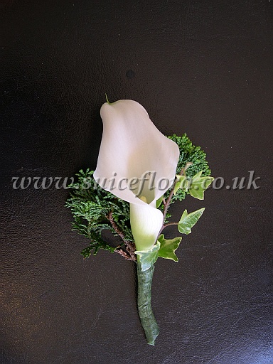 DSCN6559.JPG
