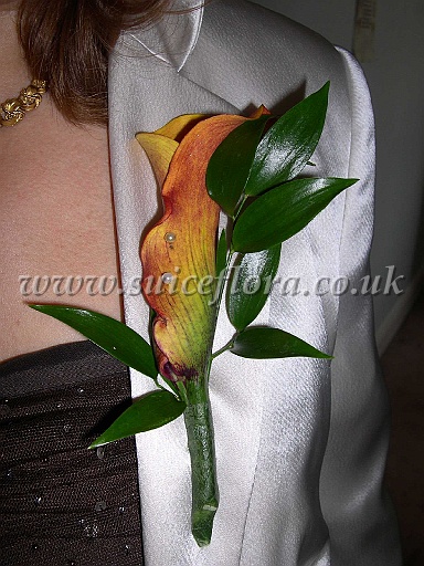 DSCN6572.JPG