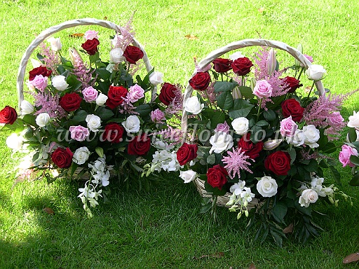 DSCN8643.JPG