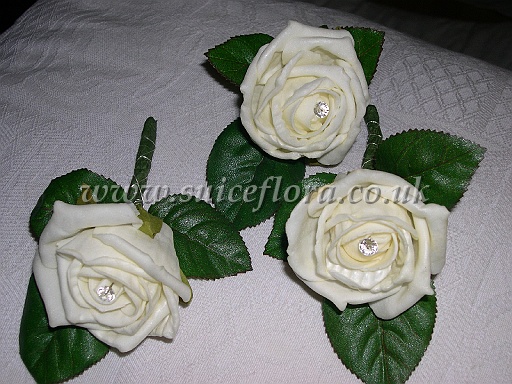 DSCN9365.JPG