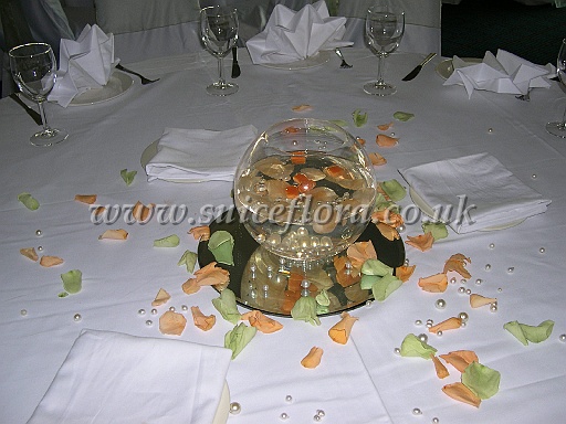 DSCN6608.JPG