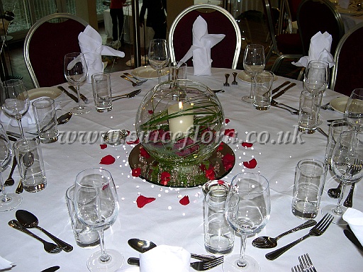 DSCN7005.JPG