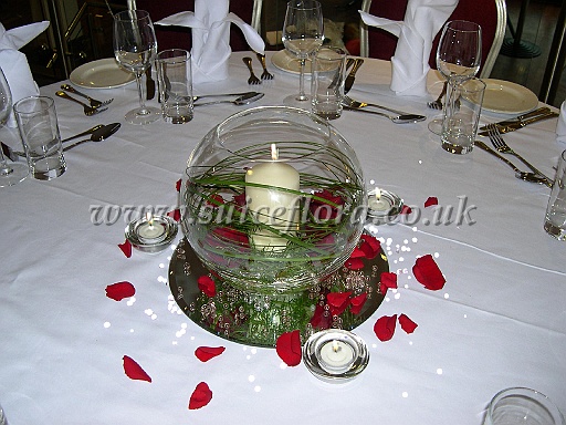 DSCN7006.JPG