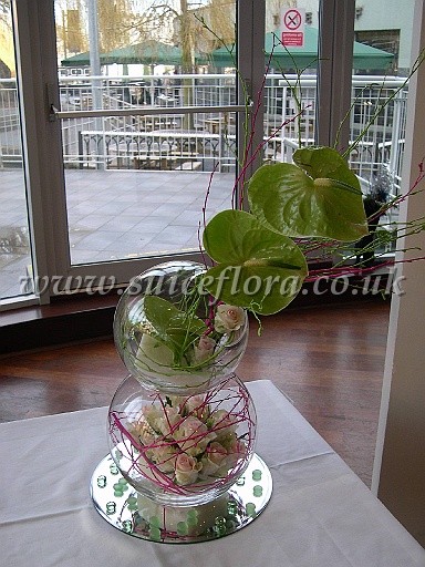 DSCN7164.JPG