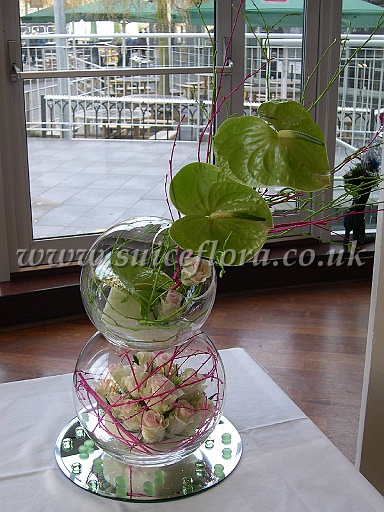 DSCN7165.JPG