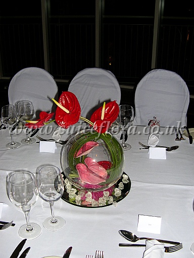 DSCN7171.JPG