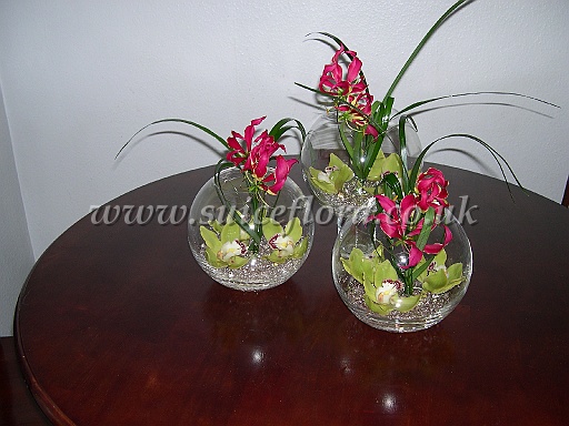 DSCN7762.JPG