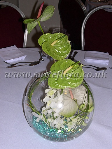 DSCN8576.JPG