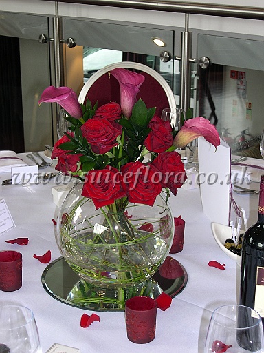 DSCN8614.JPG