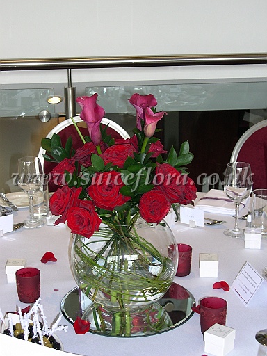 DSCN8619.JPG