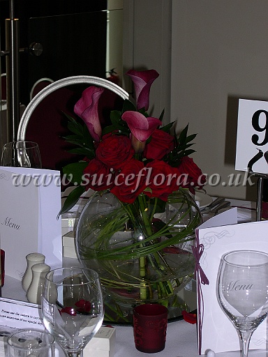DSCN8627.JPG