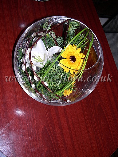 DSCN8884.JPG