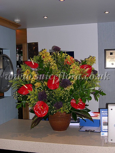 DSCN5397.JPG