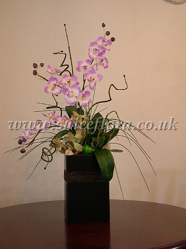 DSCN5719.JPG