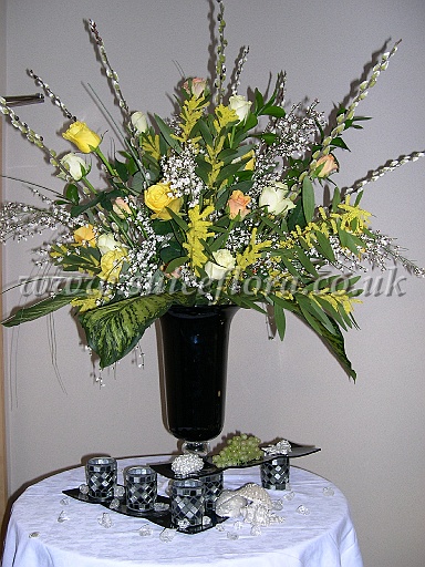 DSCN7507.JPG