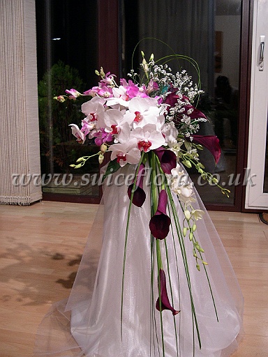 DSCN4379.JPG