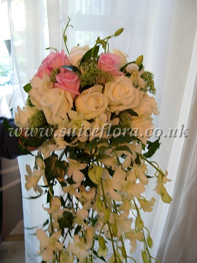 DSCN5255.JPG