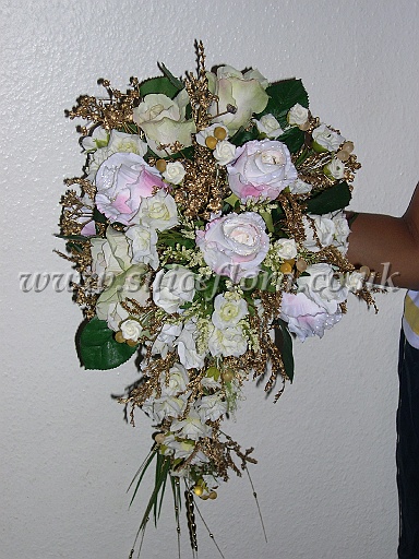 DSCN8757.JPG
