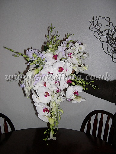DSCN8791.JPG
