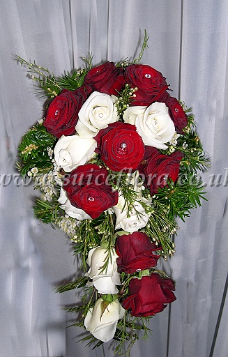 DSCN9370.jpg