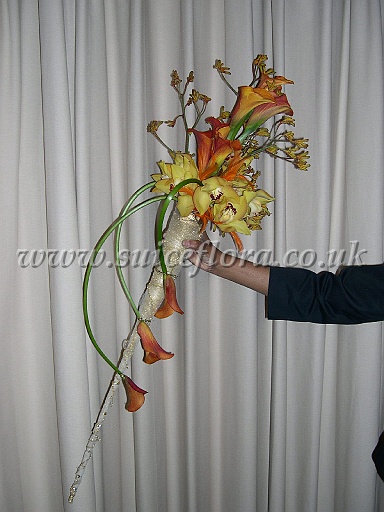 DSCN5966.JPG