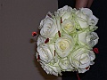 DSCN9541