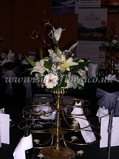 DSCN6698.JPG