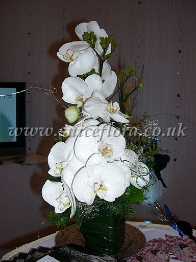 DSCN7234.JPG