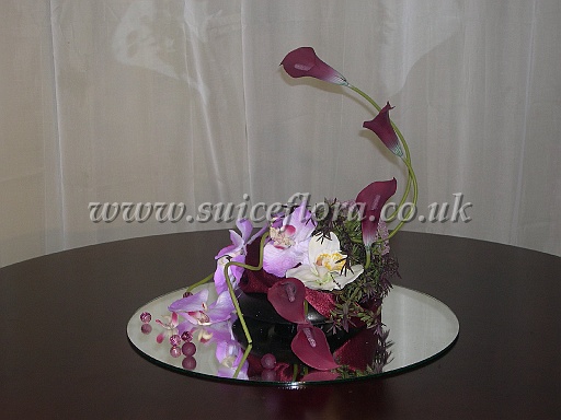 Picture_020.jpg