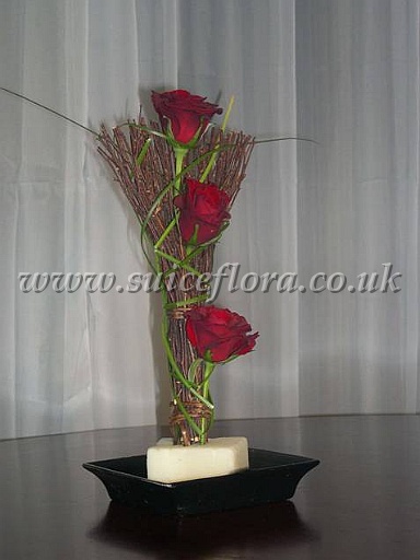 sfff04.jpg