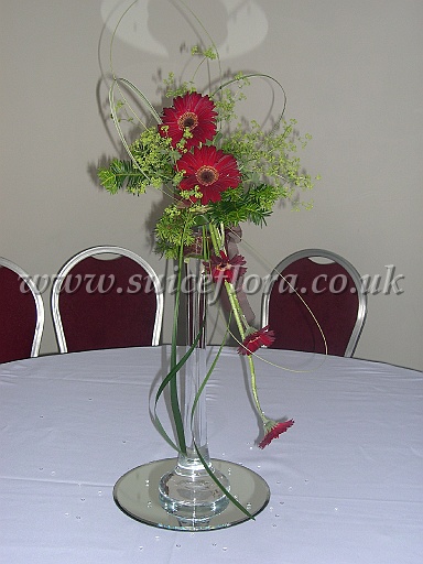DSCN0505.JPG