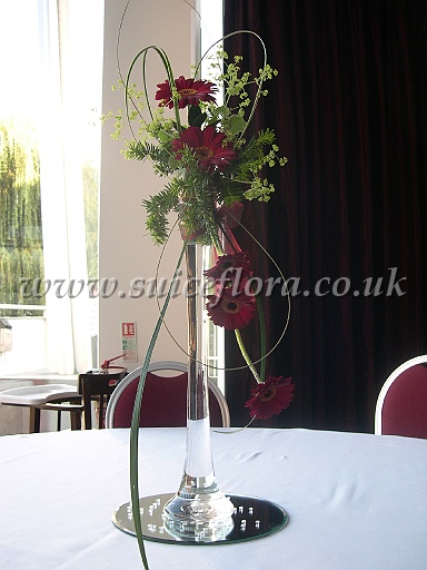 DSCN0509.JPG