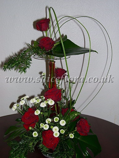 DSCN1637.JPG