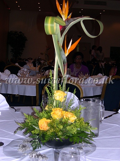 DSCN2074.JPG