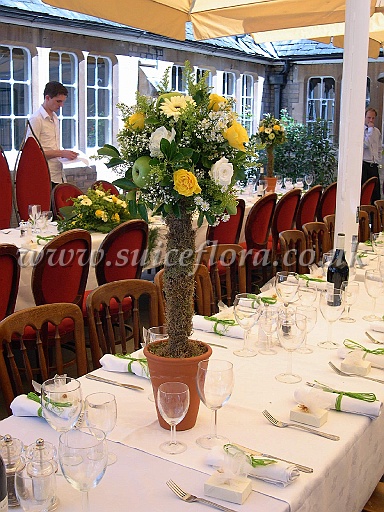 DSCN6170.JPG