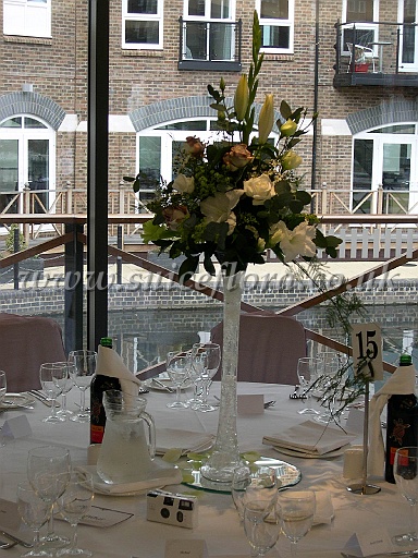 DSCN6488.JPG