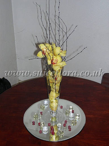 DSCN6934.JPG