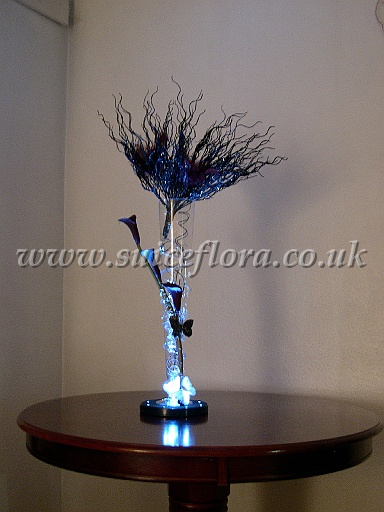 DSCN7490.JPG