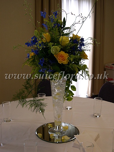 DSCN7798.JPG