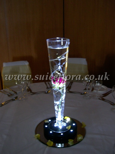 DSCN7996.JPG