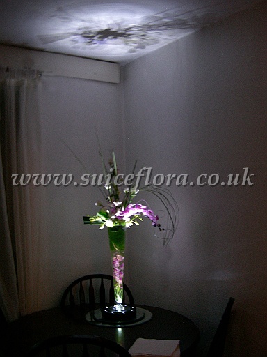 DSCN8272.JPG