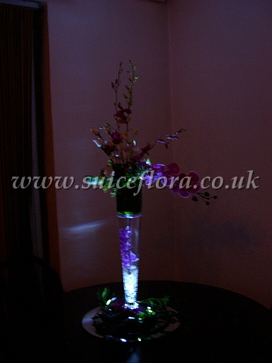 DSCN8367.JPG