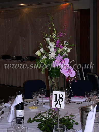 DSCN8417.JPG
