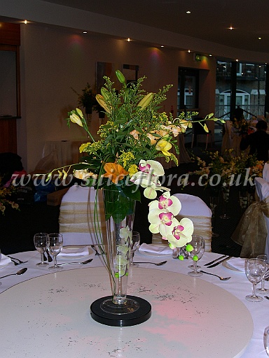 DSCN8805.JPG